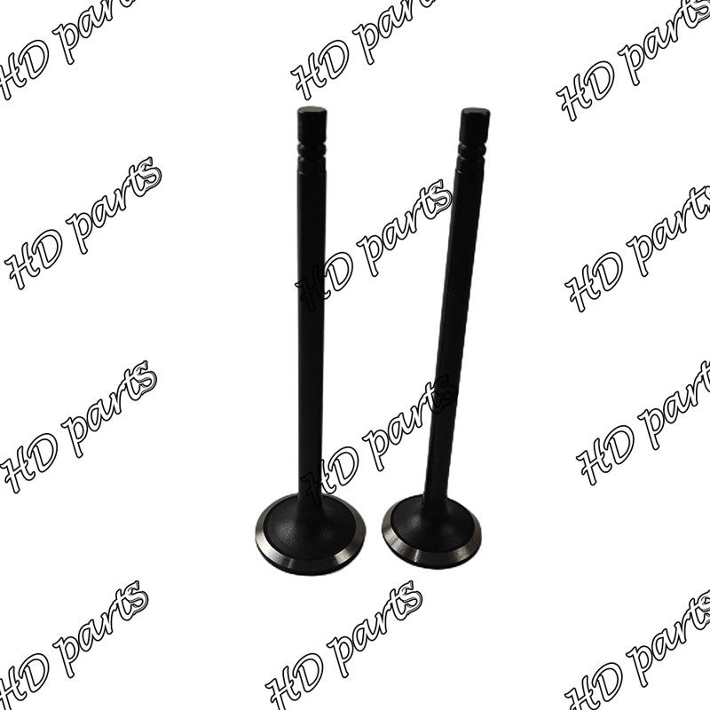 Válvula diésel S6B S6B3 33704-10102 36204-21100 36204-41101 36204-20100 para motor Mitsubishi
