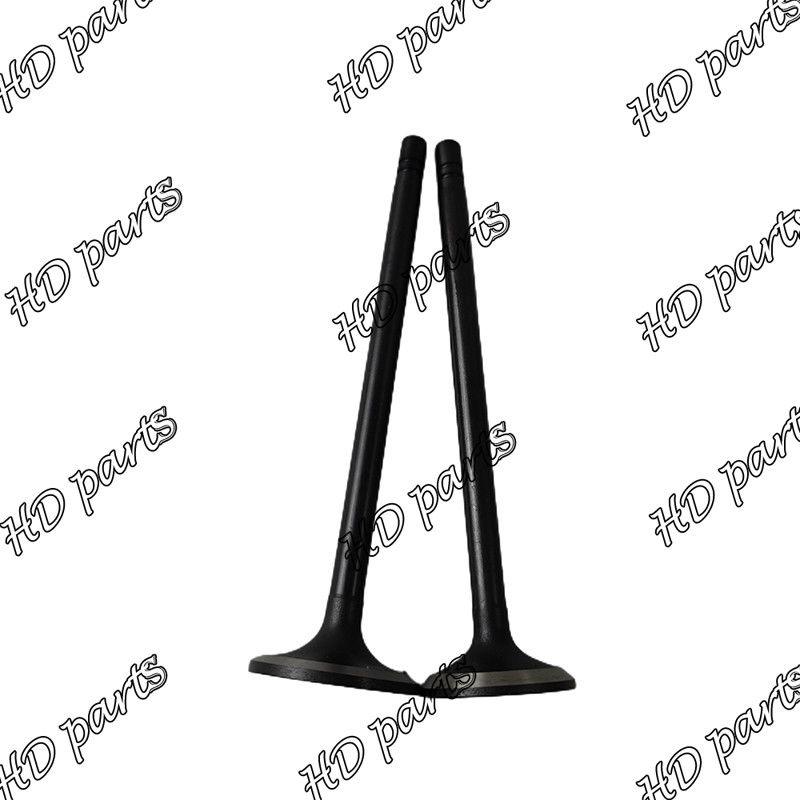 Válvula diésel S6B S6B3 33704-10102 36204-21100 36204-41101 36204-20100 para motor Mitsubishi