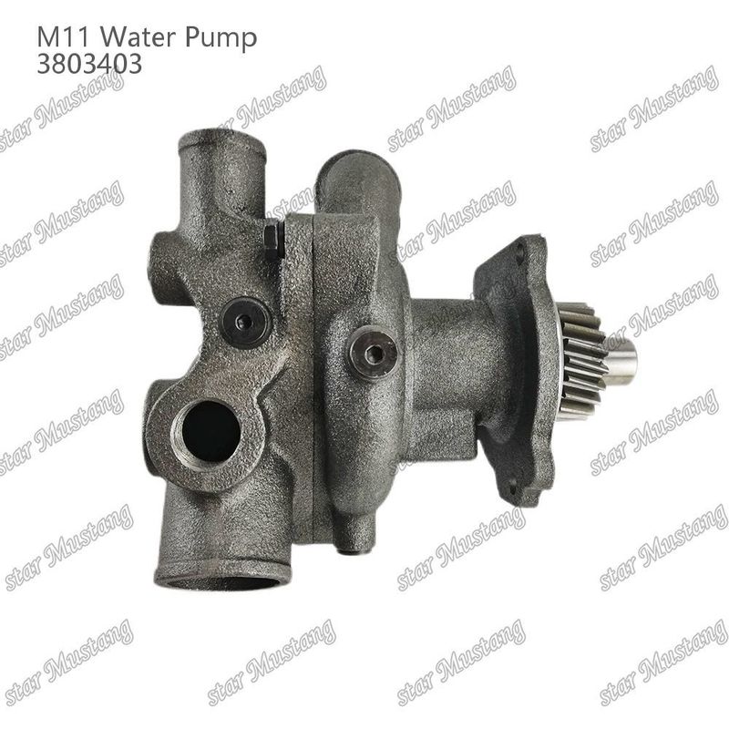 Bomba de agua M11 4955706 4926553 Eje corto para CUMMINS Partes de reparación de motores diesel