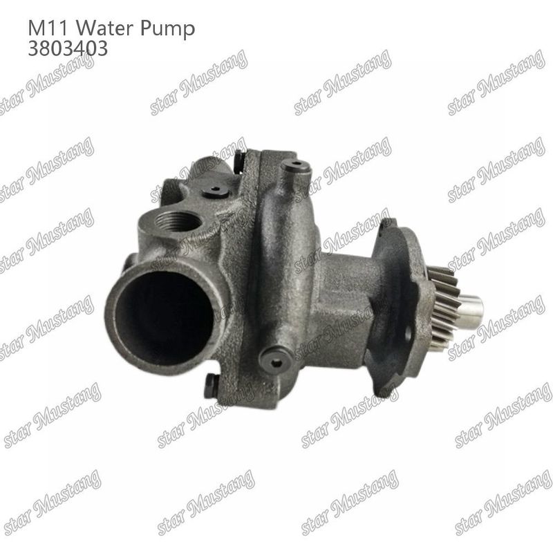 Bomba de agua M11 4955706 4926553 Eje corto para CUMMINS Partes de reparación de motores diesel