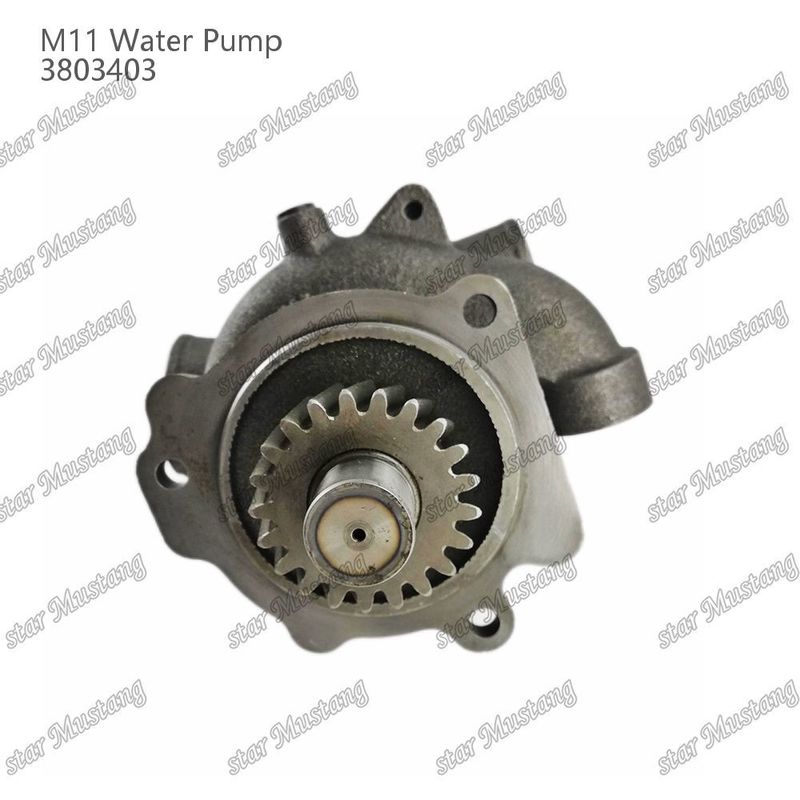 Bomba de agua M11 4955706 4926553 Eje corto para CUMMINS Partes de reparación de motores diesel
