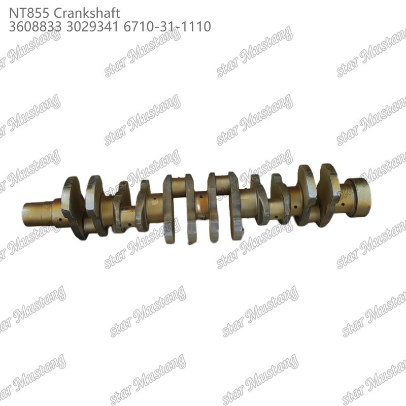 Eje de manivela NT855 Acero forjado 3608833 3029341 6710-31-1110 Para partes de motores diésel Cummins
