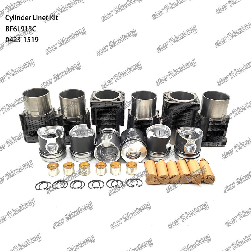 Kit de líneas de tipo motor diesel de nueva condición para BF6L913C 0423-1519