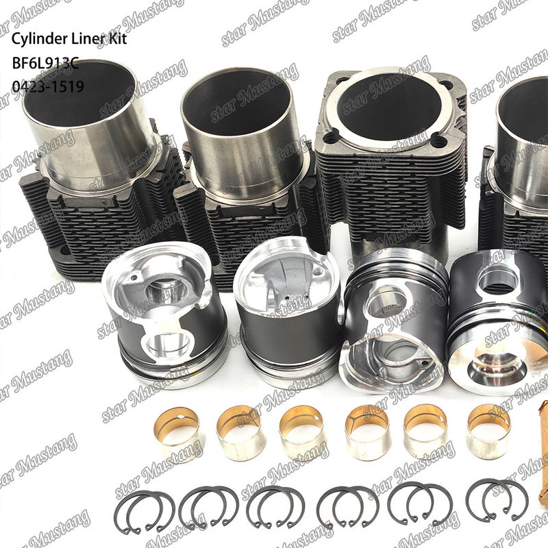 Kit de líneas de tipo motor diesel de nueva condición para BF6L913C 0423-1519