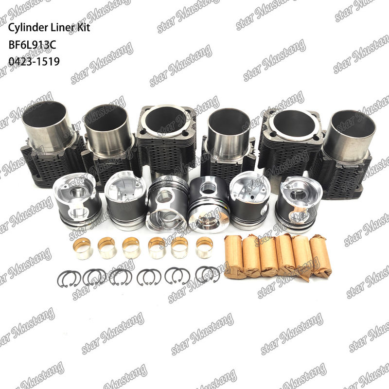 Kit de líneas de tipo motor diesel de nueva condición para BF6L913C 0423-1519