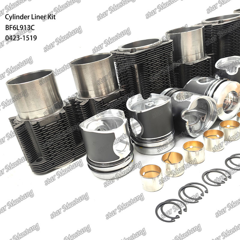 Kit de líneas de tipo motor diesel de nueva condición para BF6L913C 0423-1519