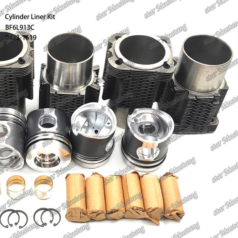 Kit de líneas de tipo motor diesel de nueva condición para BF6L913C 0423-1519