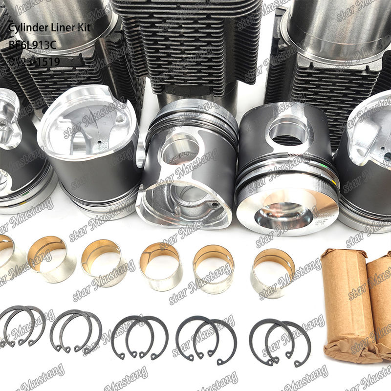 Kit de líneas de tipo motor diesel de nueva condición para BF6L913C 0423-1519