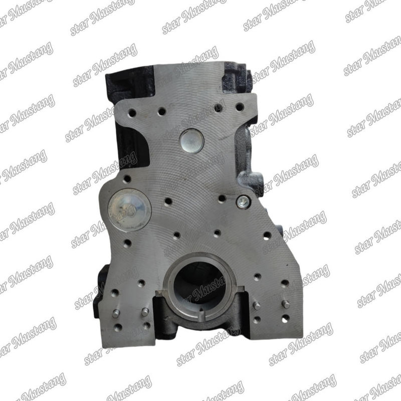 Bloque de cilindros 4TNE94 Canal de agua doble para excavadora para YANMAR
