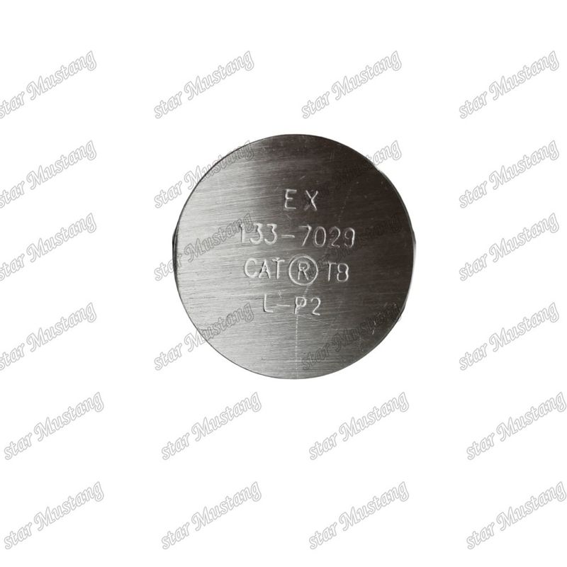 3176C C10 IN 7E9578 EX 133-7029 Válvula para piezas de repuesto de motores Caterpillar