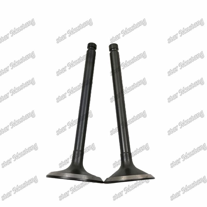 Válvula 3KR1 8941190881 8-94119088-1 5125520462 5-12552046-2 para repuestos de motores Isuzu