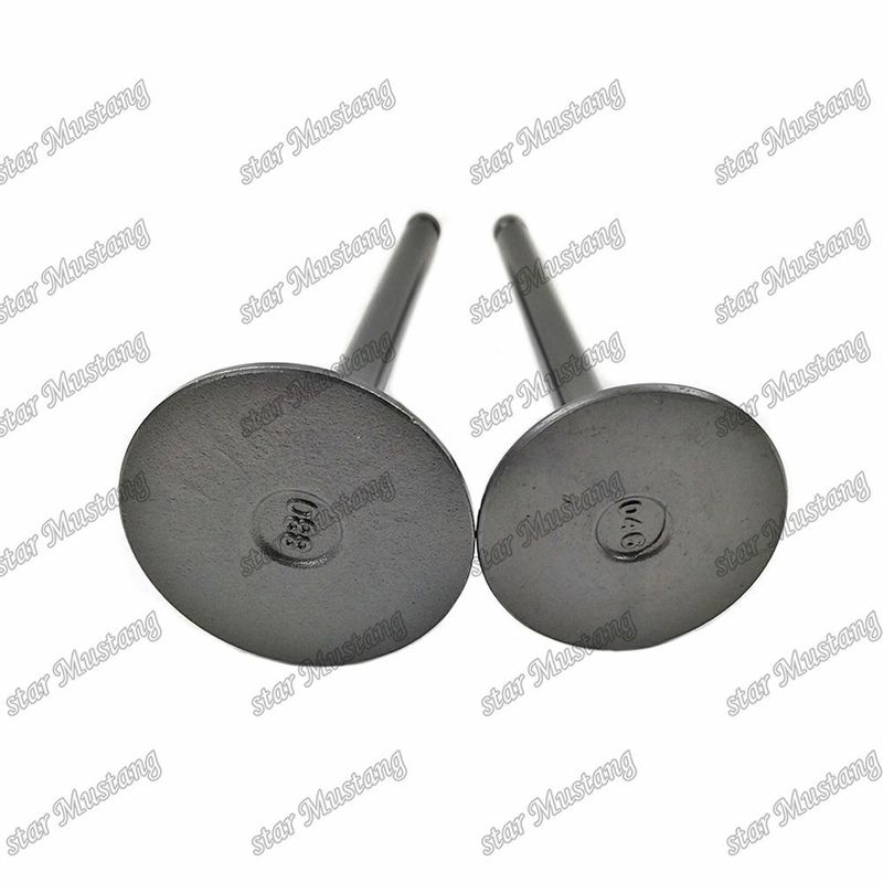 Válvula 3KR1 8941190881 8-94119088-1 5125520462 5-12552046-2 para repuestos de motores Isuzu
