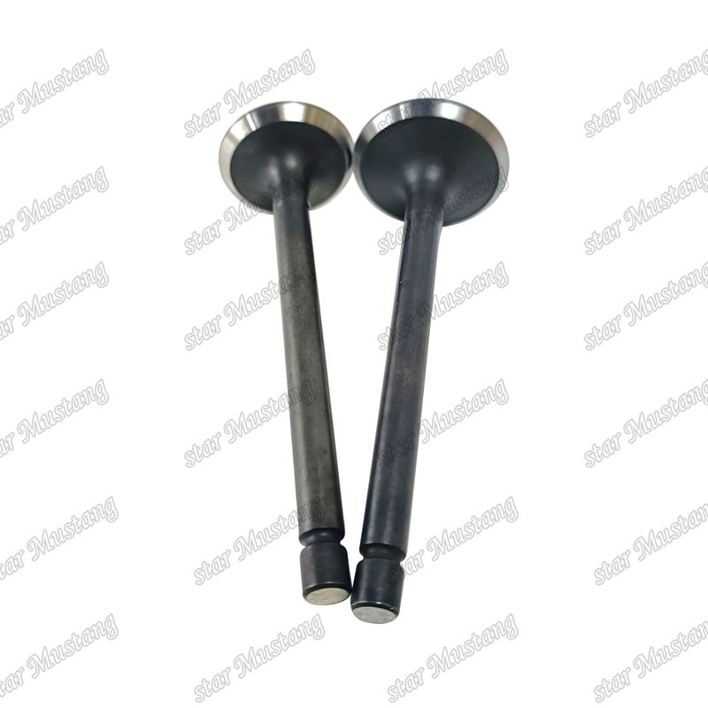 Valva 3LA1 8-97102-123-0 8-97045-410-2 Adecuada para repuestos de motores Isuzu