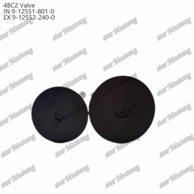 Válvula 4BC2 9-12551-801-0 9-12552-240-0 Adecuada para repuestos de motores Isuzu