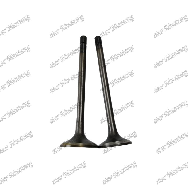Válvula 4JJ1 8-97309-675-1 8-97309-677-1 para repuestos de motores Isuzu