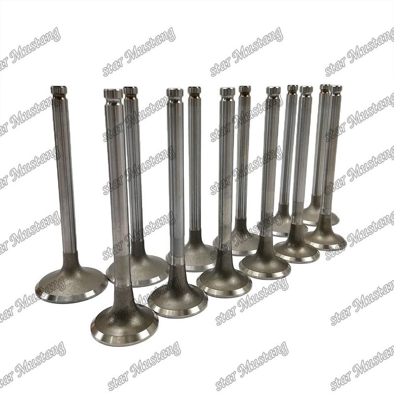 Válvula de motor 6BD1 DB58 IN 65.01735-2558 EX 65.01734-267 Adecuada para repuestos de motores Isuzu