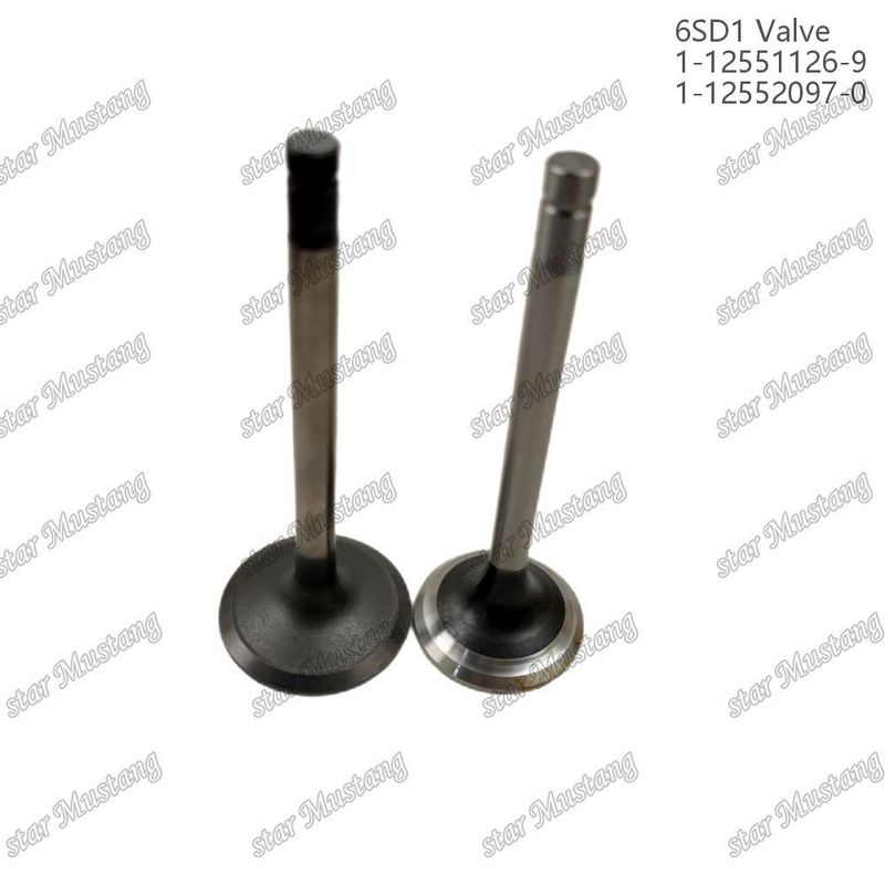 Válvula 6SD1 1-12551126-9 1-12552097-0 Adecuada para repuestos de motores Isuzu