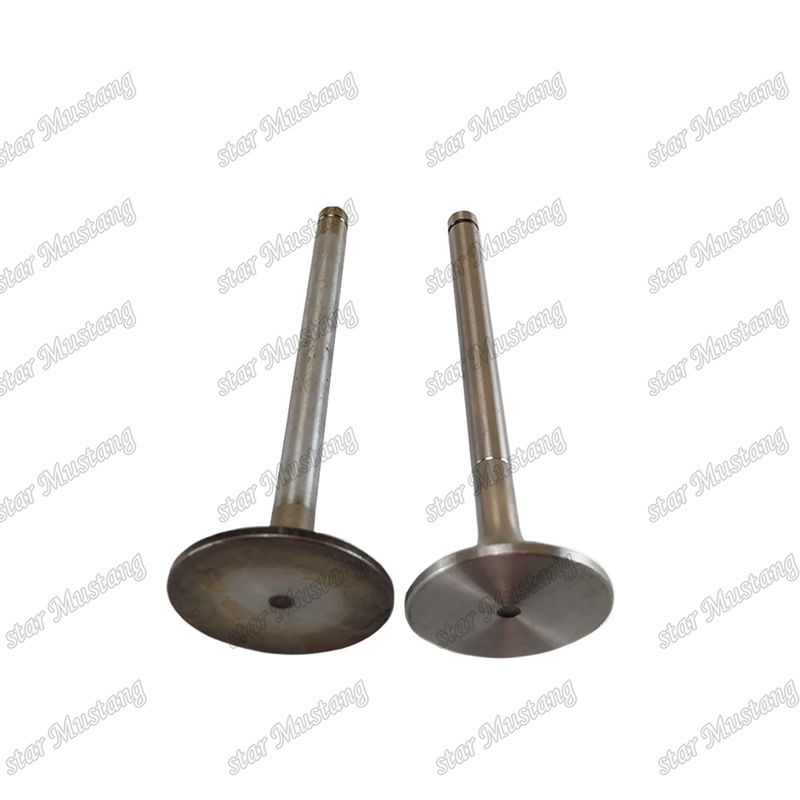 Válvula EK100 EK130 EF750 13715-1060 13711-1450 Adecuada para piezas de repuesto de motores Hino