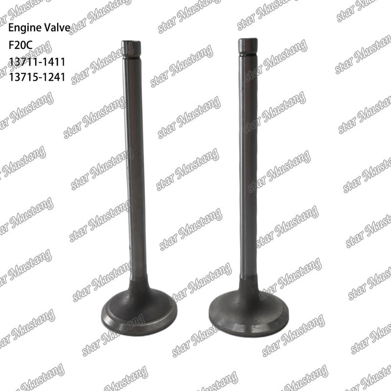 Válvula de motor F20C 13711-1411 13715-1241 Adecuado para piezas de repuesto de motores Hino