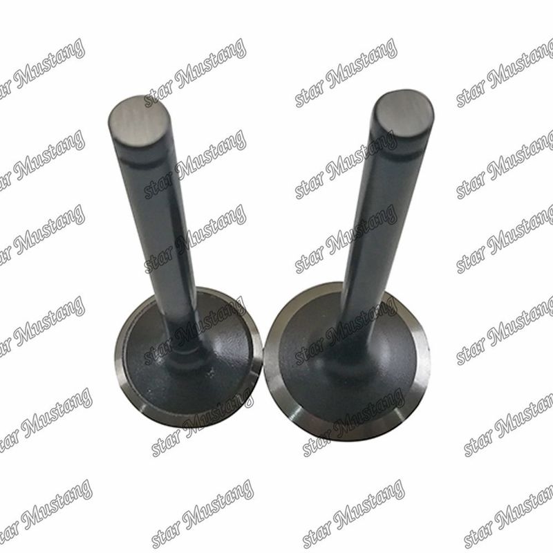 Válvula W06D W06E 13711-1521 13715-1570 Adecuada para piezas de repuesto de motores Hino