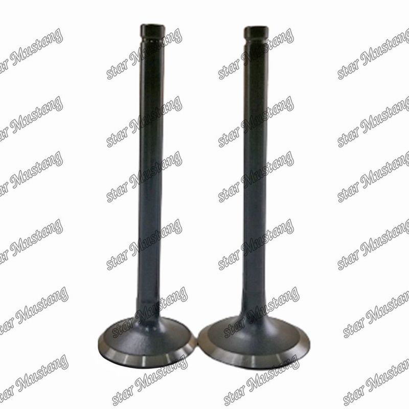 Válvula W06D W06E 13711-1521 13715-1570 Adecuada para piezas de repuesto de motores Hino