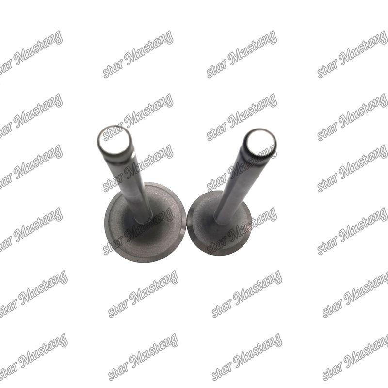 Válvula del motor DB33 65.02500-0001 65.02500-0002 Adecuado para piezas de repuesto del motor Doosan