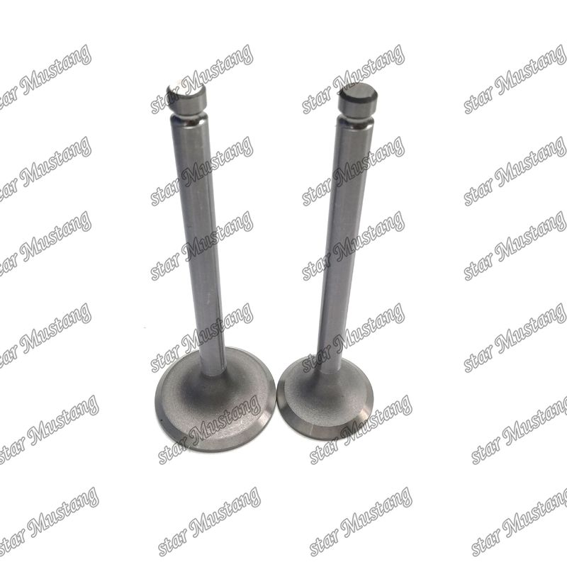 Válvula del motor DB33 65.02500-0001 65.02500-0002 Adecuado para piezas de repuesto del motor Doosan