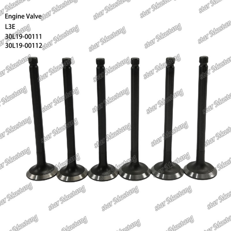 L3E 30L19-00111 30L19-00112 válvula de motor diesel adecuada para repuestos Mitsubishi