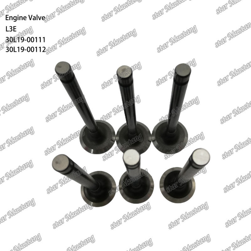 L3E 30L19-00111 30L19-00112 válvula de motor diesel adecuada para repuestos Mitsubishi