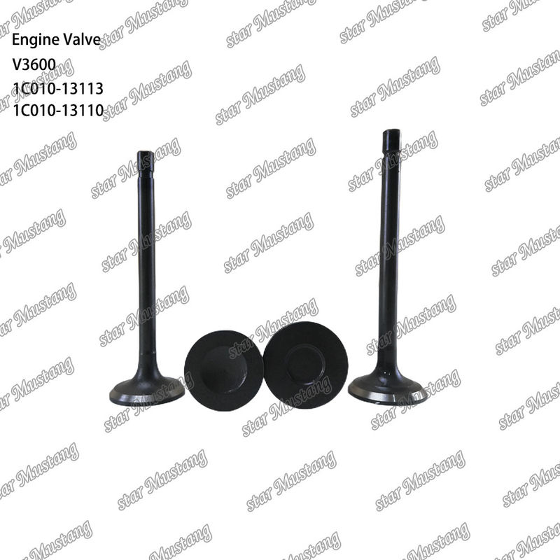 Válvula de estructura integral de motor diésel V3600 1C010-13113