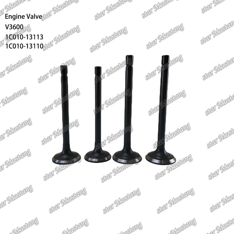 Válvula de estructura integral de motor diésel V3600 1C010-13113