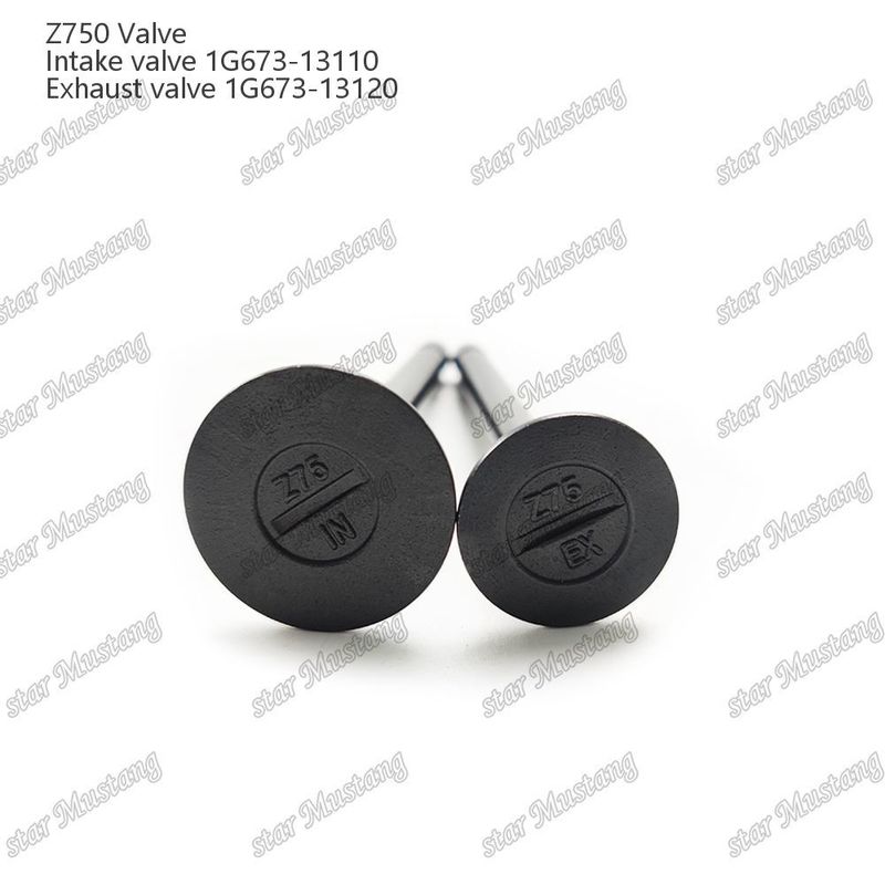 Válvula de estructura integral Z750 1G673-13110 1G673-13120 Motor diesel Parte original en stock con soporte en línea Después