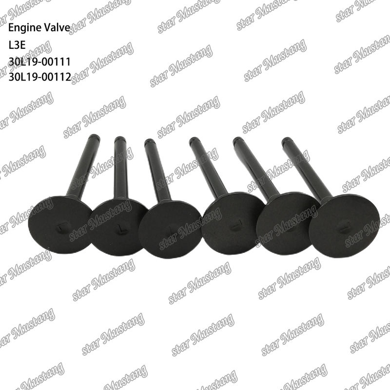 L3E 30L19-00111 30L19-00112 Diesel Motor Parts Original Stock con soporte en línea Después