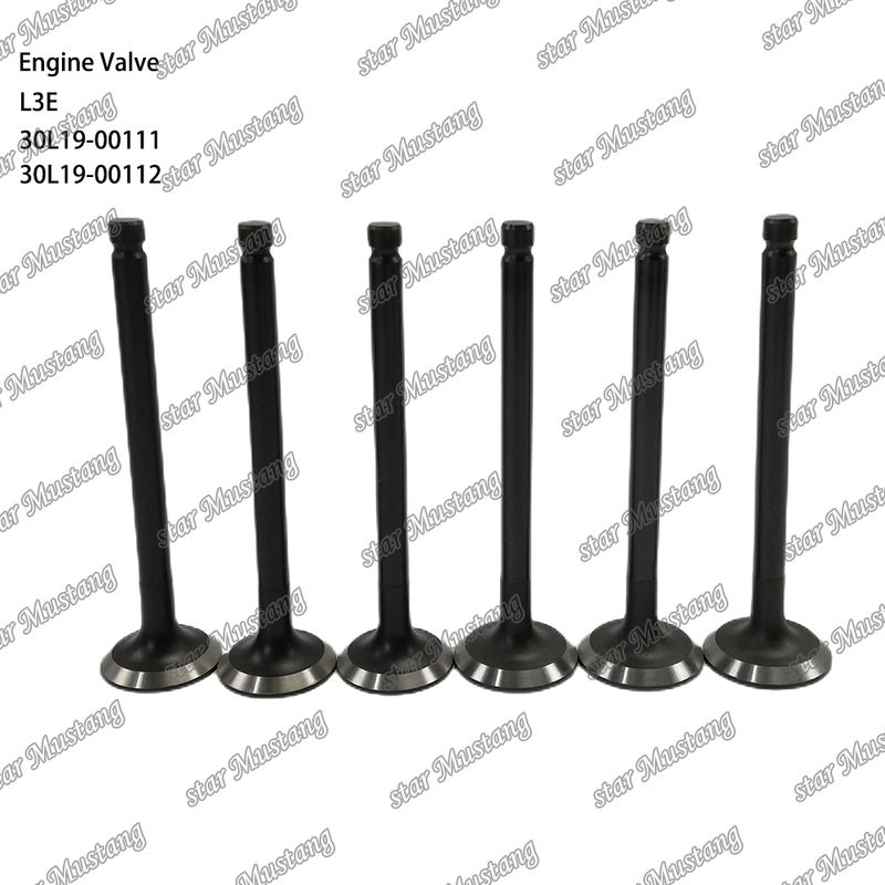 L3E 30L19-00111 30L19-00112 Diesel Motor Parts Original Stock con soporte en línea Después