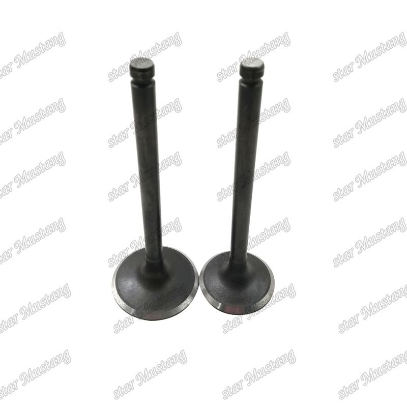 Válvula de estructura integral TD42 Motor diesel Parte original de stock con soporte en línea después