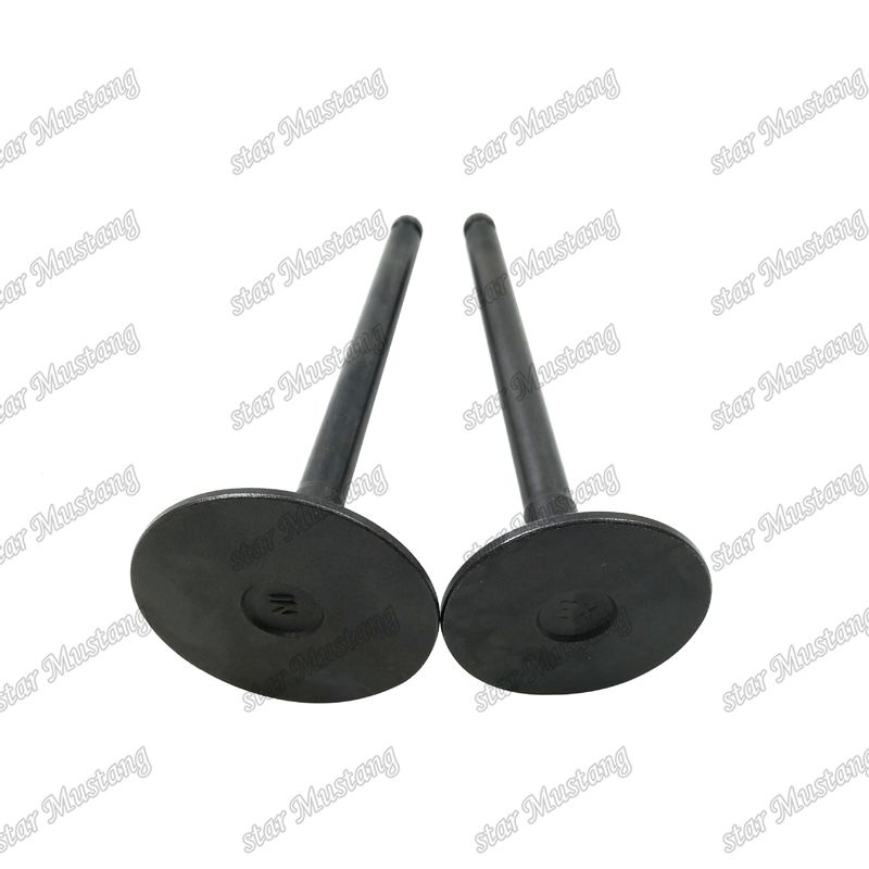 Válvula de estructura integral TD42 Motor diesel Parte original de stock con soporte en línea después