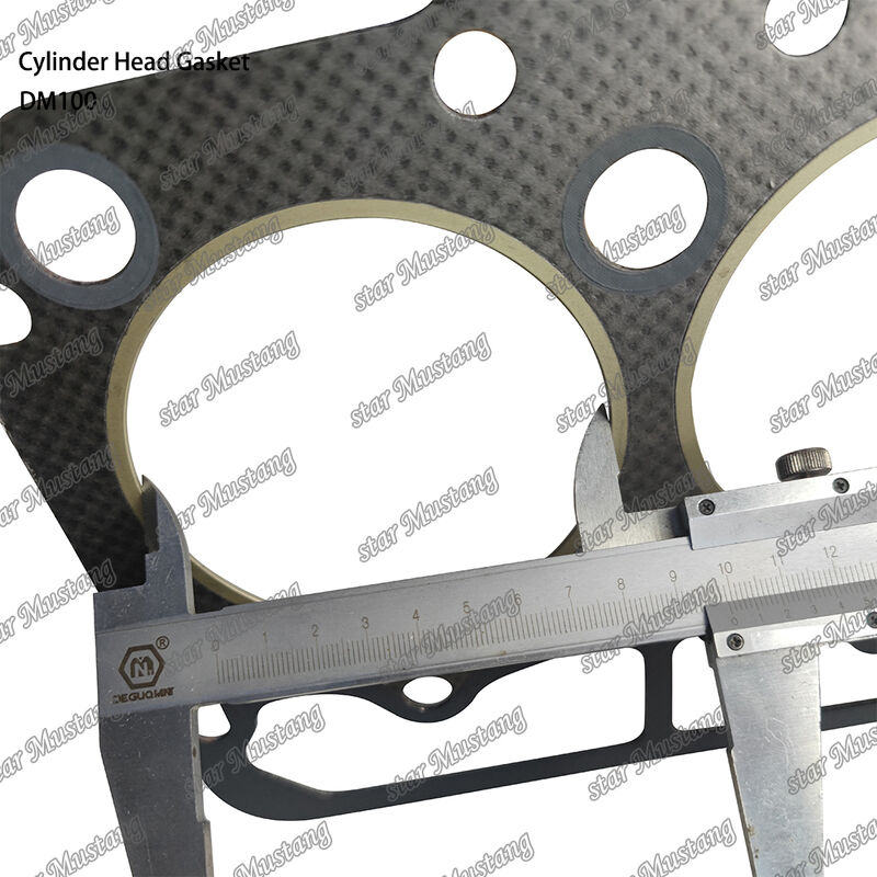 Gaseador de cabeza DM100 para motor diesel con estructura integral y tamaño OEM