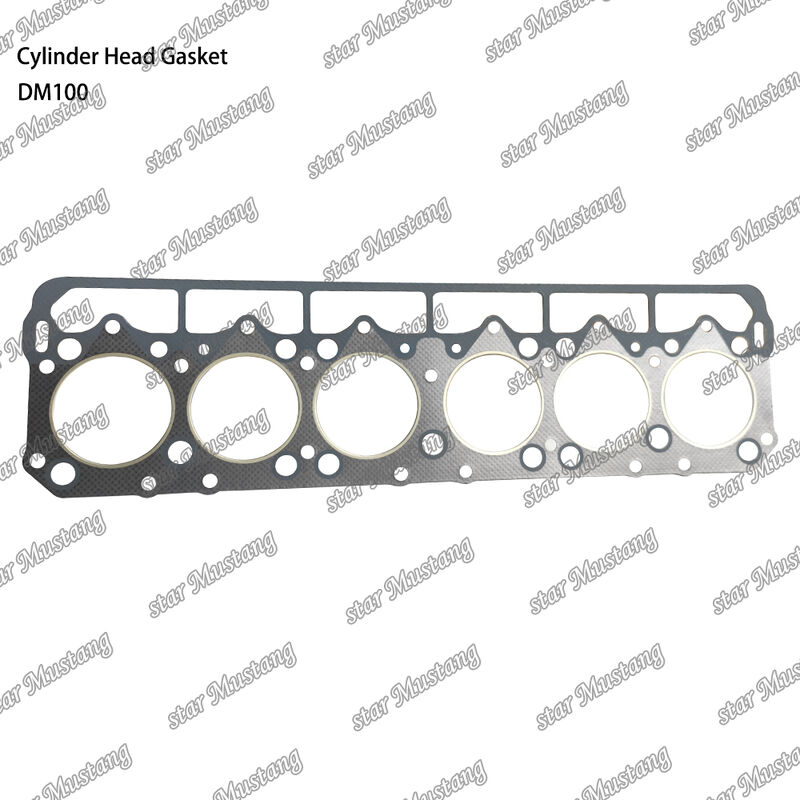 Gaseador de cabeza DM100 para motor diesel con estructura integral y tamaño OEM